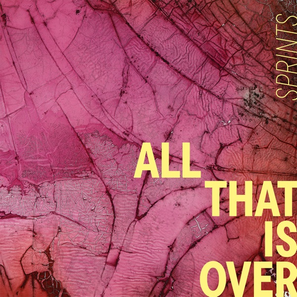 PUZZLE con GIANLUCA POLVERARI