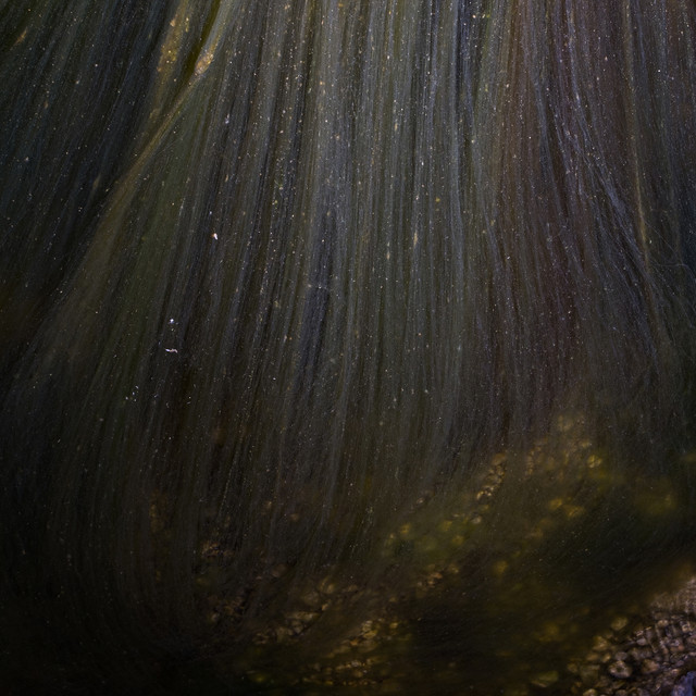 ALTERNITALIA con GIANLUCA POLVERARI