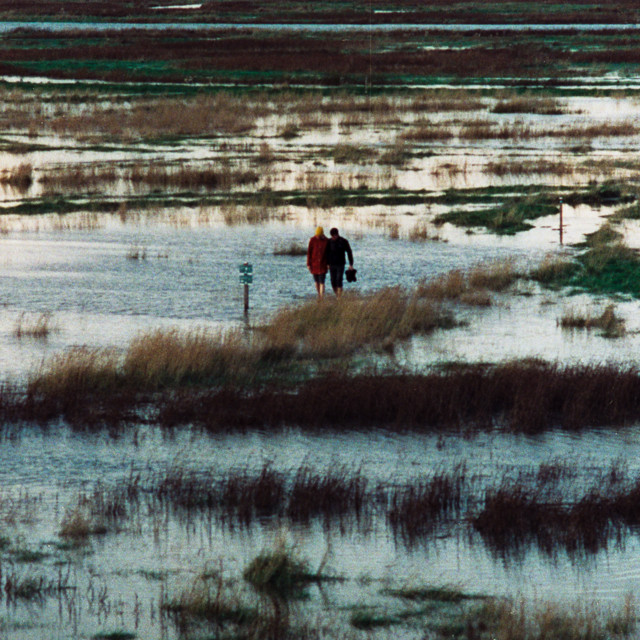 NIGHT TOYS con DARIO PIZZETTI