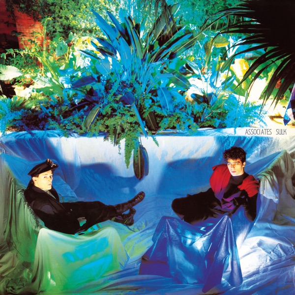 MERCOLEDI' MORNING con GIANLUCA POLVERARI