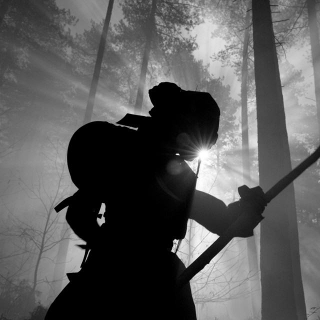 MERCOLEDI' MORNING con GIANLUCA POLVERARI